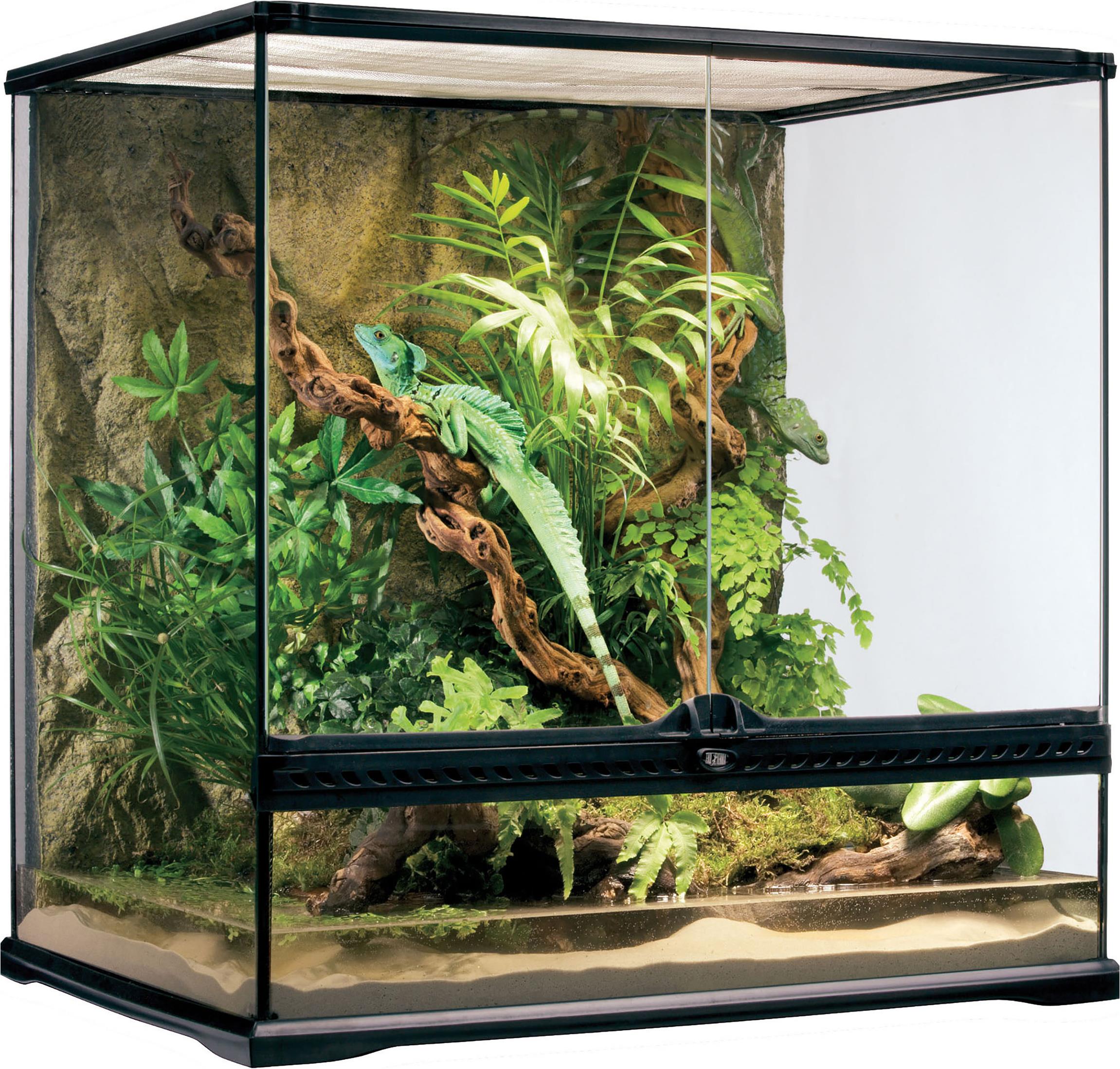 Exo Terra Glas Terrarium 60x45x60cm - Galaxus exo terra 45 45 60